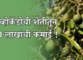 अव्होकॅडोची शेती