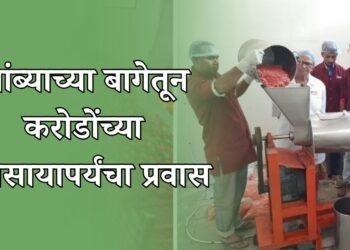 आंब्याच्या बागेतून करोडोंच्या व्यवसायापर्यंत प्रेरणादायी प्रवास