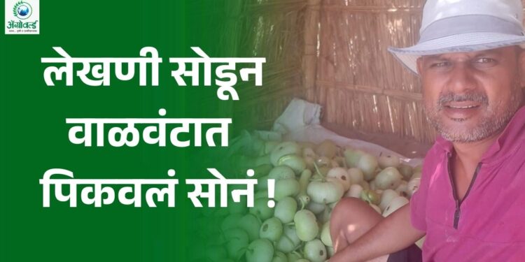 लेखणी सोडून पत्रकाराने वाळवंटात पिकवलं सोनं