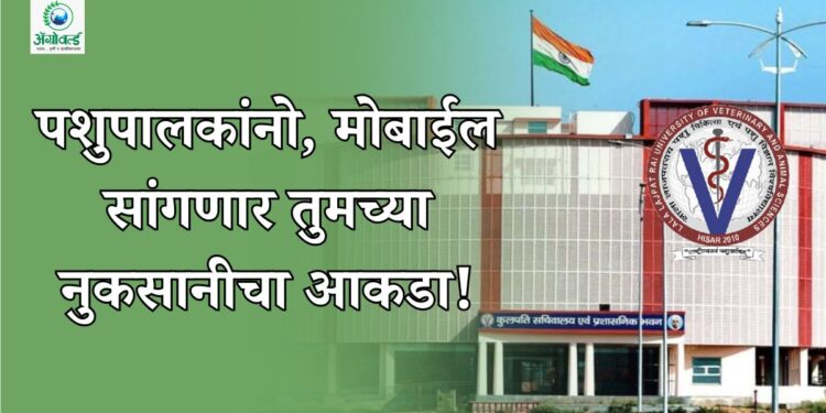 मोबाईलच सांगणार तुमच्या नुकसानीचा आकडा