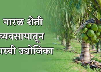 नारळ शेती व्यवसायातून गृहिणी बनली यशस्वी उद्योजिका