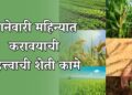 जानेवारी महिन्यात करावयाची महत्त्वाची शेती कामे