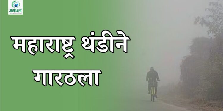 महाराष्ट्र थंडीने गारठला: पाच वर्षांतील सर्वात तीव्र हिवाळा; हवामान खात्याकडून सतर्कतेचा इशारा