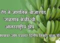 GI टॅग ते जागतिक बाजारपेठ; ‘जळगाव केळी’ची आंतरराष्ट्रीय झेप