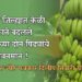 जळगाव जिल्ह्यात केळी पिकाने बदलले शेतकऱ्यांच्या दोन पिढ्यांचे जीवनमान !