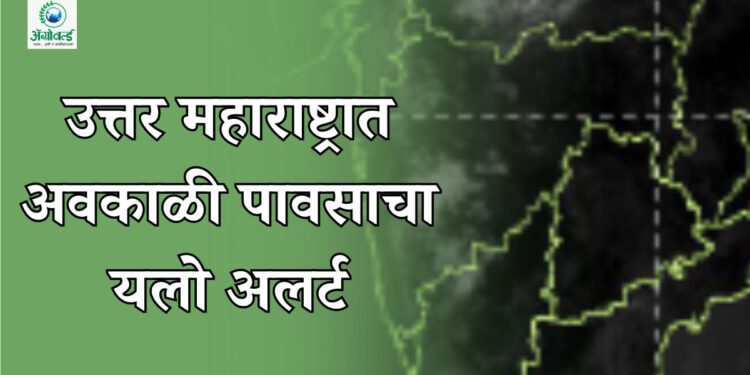उत्तर महाराष्ट्रासह राज्यातील सहा जिल्ह्यांना आज अवकाळी पावसाचा यलो अलर्ट