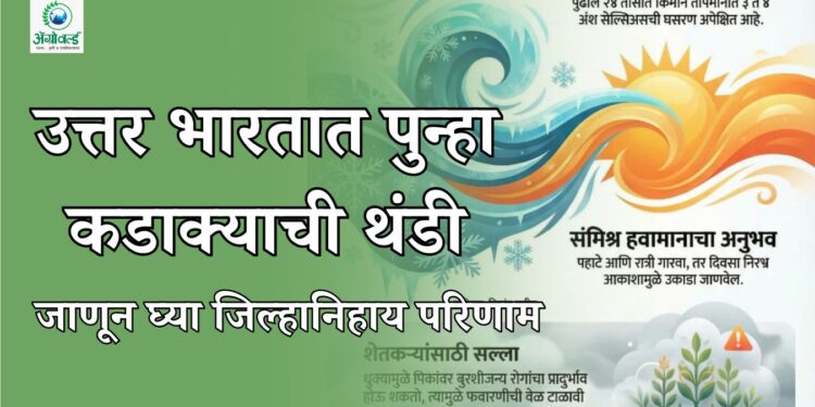 उत्तर भारतात पुन्हा कडाक्याची थंडी