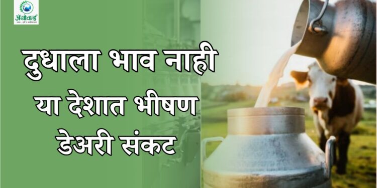 स्कॉटलंड