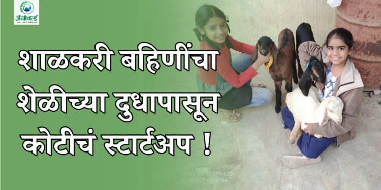 शाळकरी बहिणींचा शेळीच्या दुधापासून कोटीचं स्टार्टअप