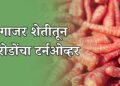 गाजर शेतीतून करोडोंचा टर्नओव्हर