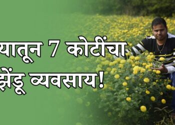 कॉलेज ड्रॉपआउटने शून्यातून उभा केला 7 कोटींचा झेंडू व्यवसाय!