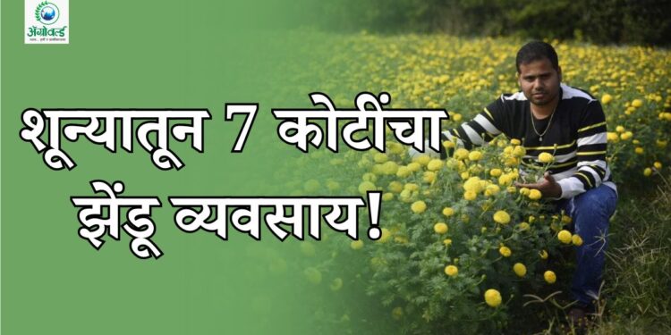 कॉलेज ड्रॉपआउटने शून्यातून उभा केला 7 कोटींचा झेंडू व्यवसाय!