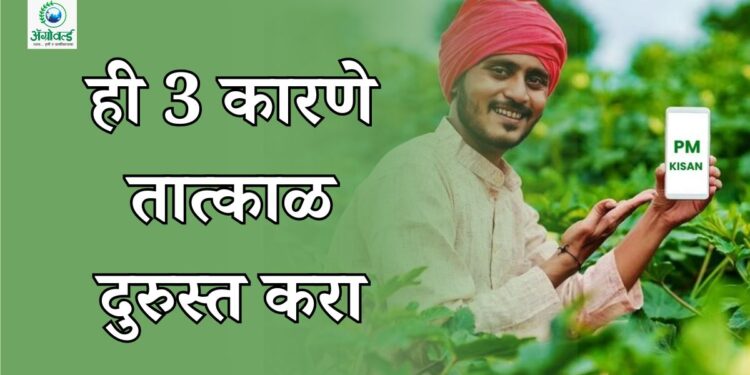 PM किसान