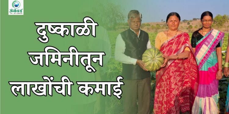 बीडच्या ओसाड माळरानावर फुलवलं सोनं