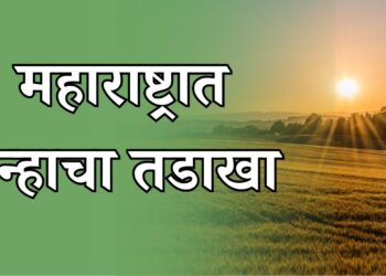 उन्हाचा तडाखा