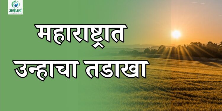 उन्हाचा तडाखा