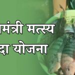 मत्स्यव्यवसाया