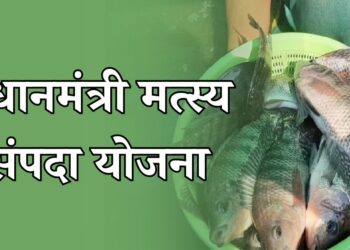 मत्स्यव्यवसाया