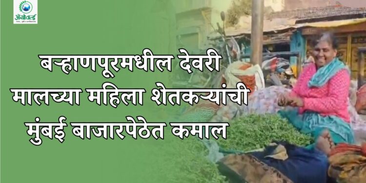 देवरी मालच्या महिला शेतकऱ्यांनी केली कमाल