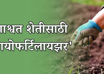 रासायनिक खतांना सुट्टी