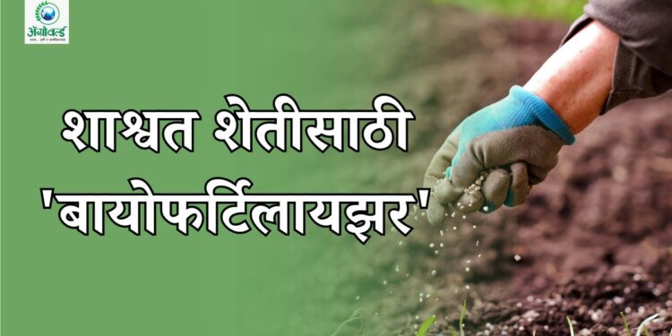 रासायनिक खतांना सुट्टी