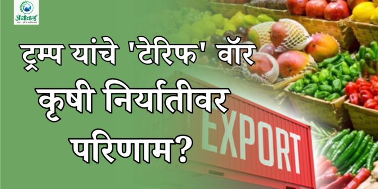 अमेरिकन कोर्टाचा दणका आणि ट्रम्प यांचे ‘टेरिफ’ वॉर: भारताच्या कृषी निर्यातीवर काय होणार परिणाम?