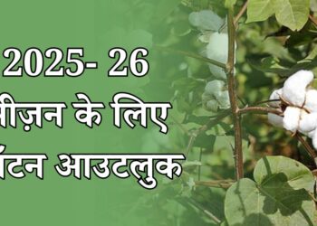2025-26 सीज़न के लिए कॉटन आउटलुक