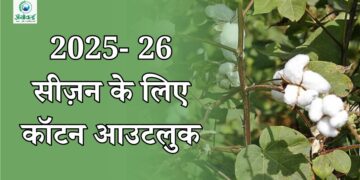 2025-26 सीज़न के लिए कॉटन आउटलुक
