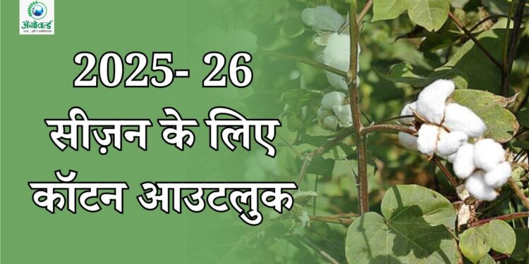 2025-26 सीज़न के लिए कॉटन आउटलुक