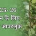 2025-26 सीज़न के लिए कॉटन आउटलुक