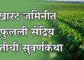 खारट जमिनीत फुलली सेंद्रिय शेतीची सुवर्णकथा