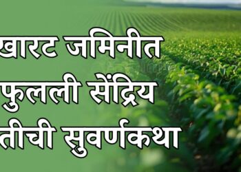 खारट जमिनीत फुलली सेंद्रिय शेतीची सुवर्णकथा