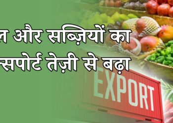 भारत की ‘गोल्डन रेवोल्यूशन’: फल और सब्ज़ियों का एक्सपोर्ट तेज़ी से बढ़ा