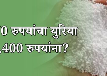 खत अनुदान