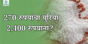 खत अनुदान