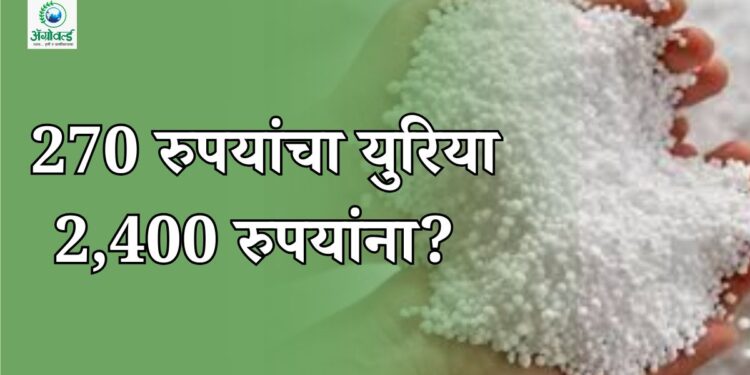 खत अनुदान