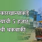 साखर कारखान्यांकडे शेतकऱ्यांची 5 हजार कोटींची थकबाकी