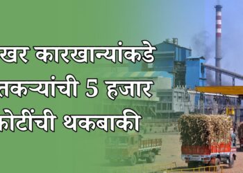 साखर कारखान्यांकडे शेतकऱ्यांची 5 हजार कोटींची थकबाकी