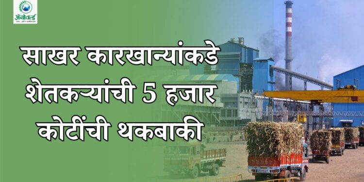साखर कारखान्यांकडे शेतकऱ्यांची 5 हजार कोटींची थकबाकी