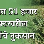 अवकाळी पाऊस