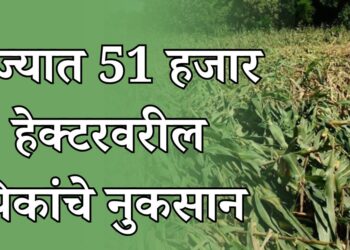 अवकाळी पाऊस