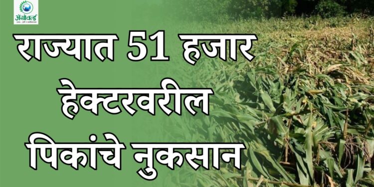 अवकाळी पाऊस