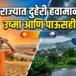 राज्यात दुहेरी हवामान उष्मा आणि पाऊसही