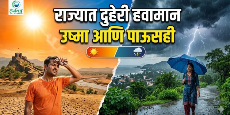 राज्यात दुहेरी हवामान उष्मा आणि पाऊसही