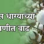 कापूस धाग्याच्या मागणीत वाढ