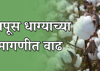 कापूस धाग्याच्या मागणीत वाढ