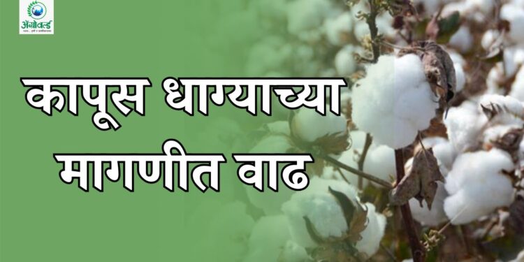 कापूस धाग्याच्या मागणीत वाढ