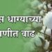 कापूस धाग्याच्या मागणीत वाढ