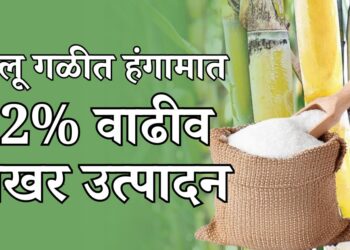 चालू गळीत हंगाम