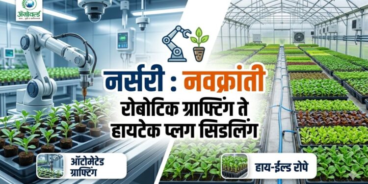 रोबोटिक ग्राफ्टिंग
